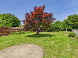 Garden- click for photo gallery